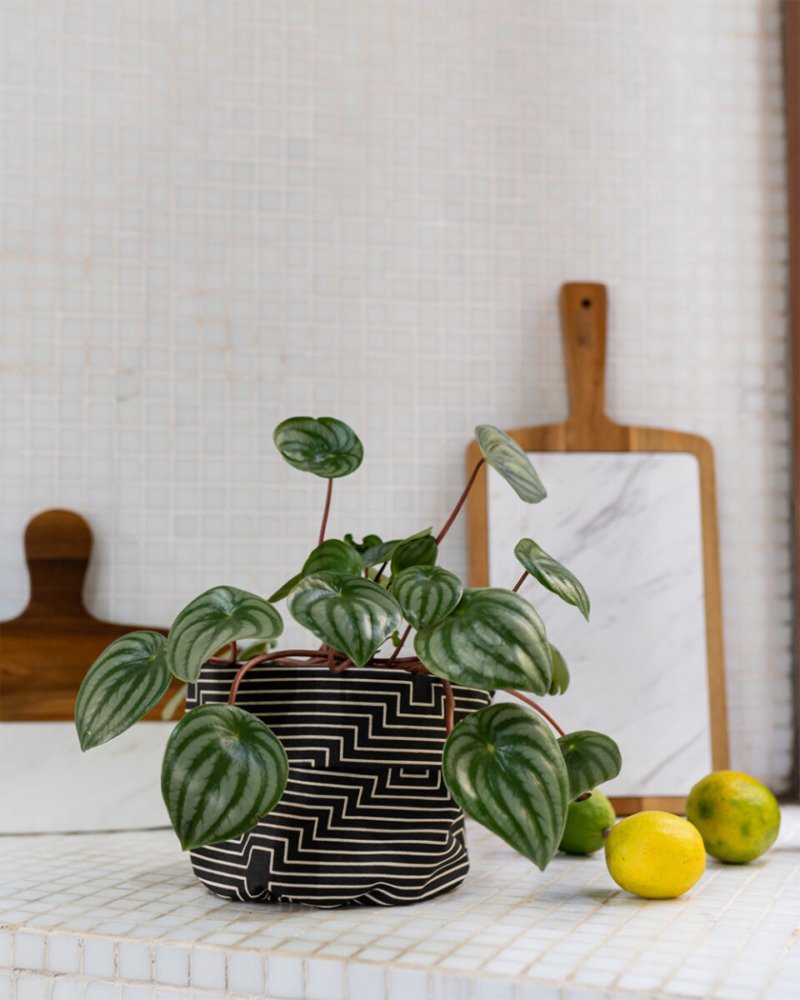 Cachepô P Marajoara