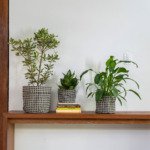 Kit Cachepôs Palhinha p&b