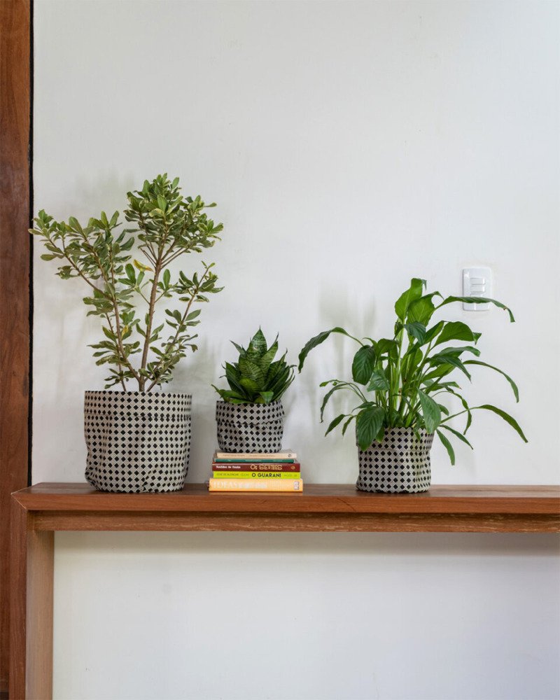 Kit Cachepôs Palhinha p&b