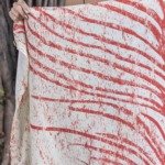 Canga Pássaro Natura