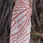 Canga Pássaro Natura