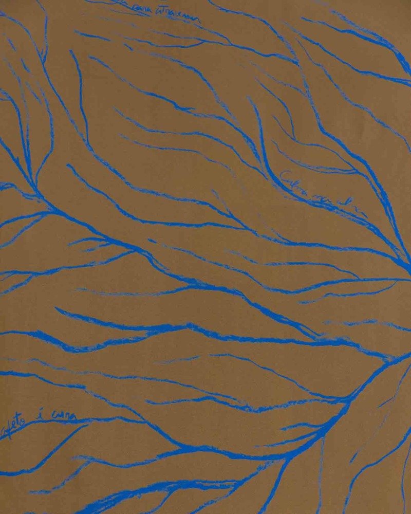 Canga Rio Raiz Terra